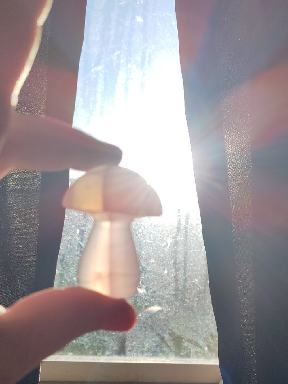 Fluorite Crystal Mushroom Carvings - Picture 2 of 7